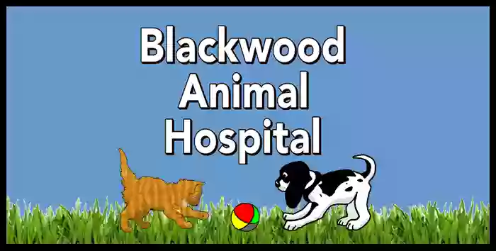 Blackwood Animal Hospital