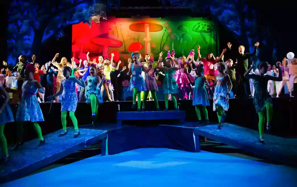 Hopewell Valley Children's Theatre (HVCT)