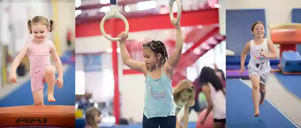 Shields Gymnastics