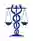 Med League Legal Nurse Consultant