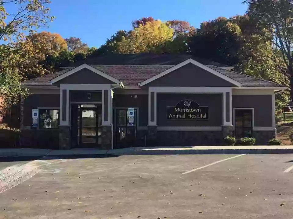 Morristown Animal Hospital