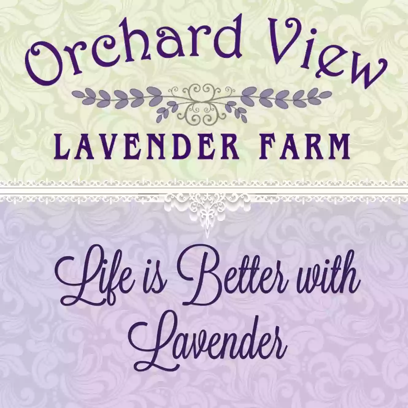 Orchard View Lavender Farm