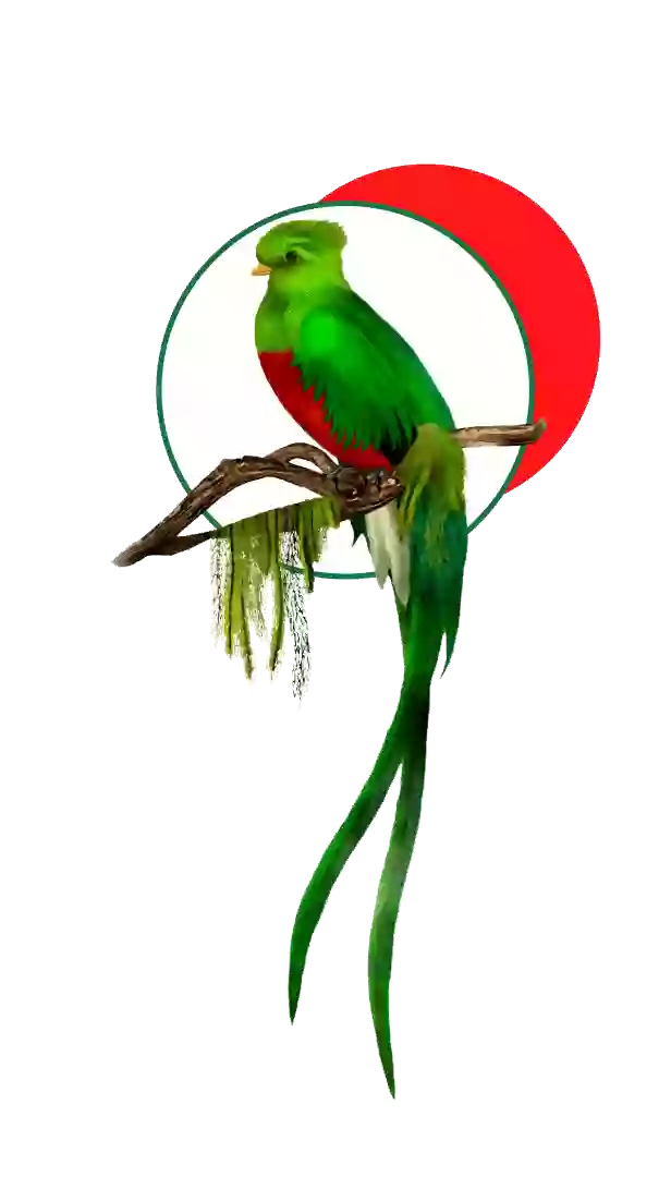 Típica El Quetzal