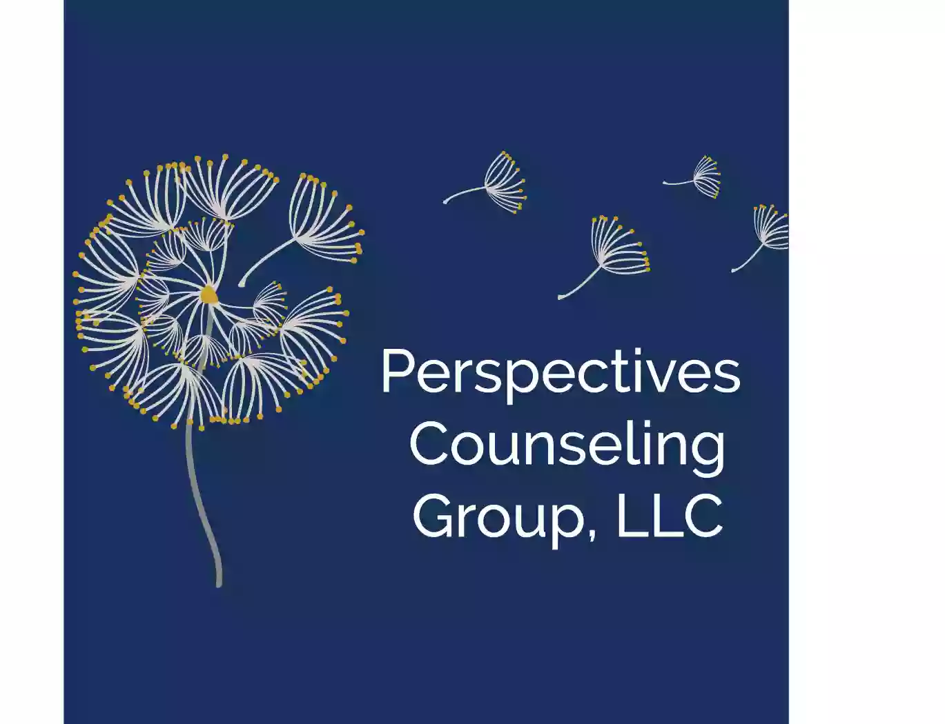 Perspectives Counseling Group, LLC