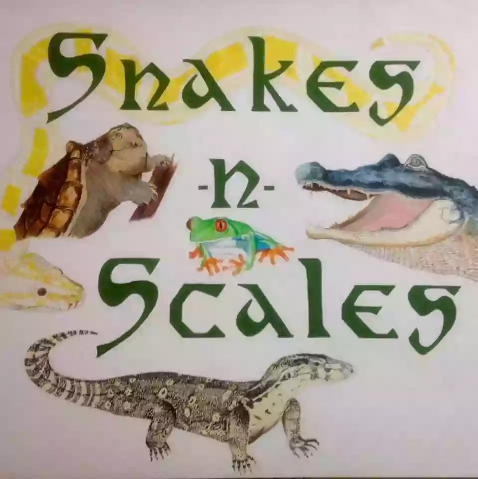 Snakes-N-Scales, LLC