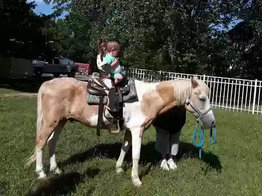 Honky Tonk Ranch