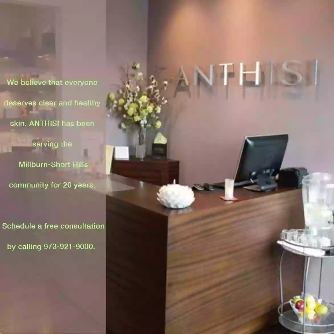 ANTHISI SkinCare Electrolysis Massage