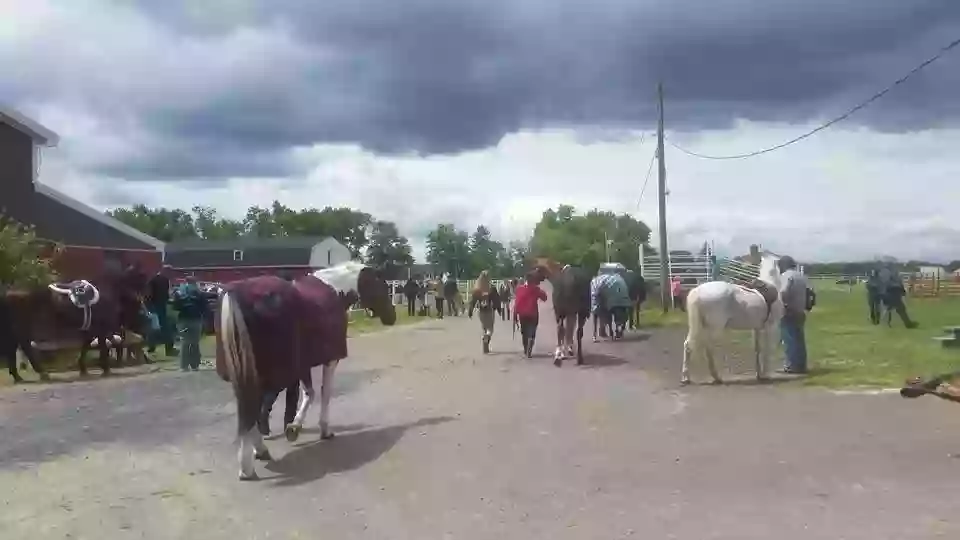 Suffolk Stables