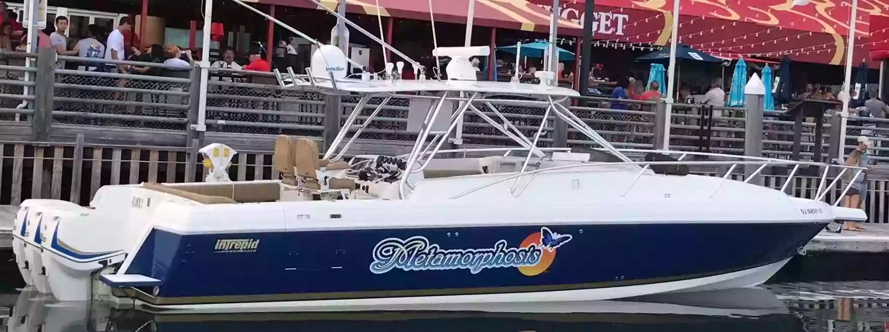 Metamorphosis Boat Charters