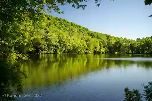 Scarlet Oak Pond Walk