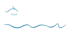 Swan Motel