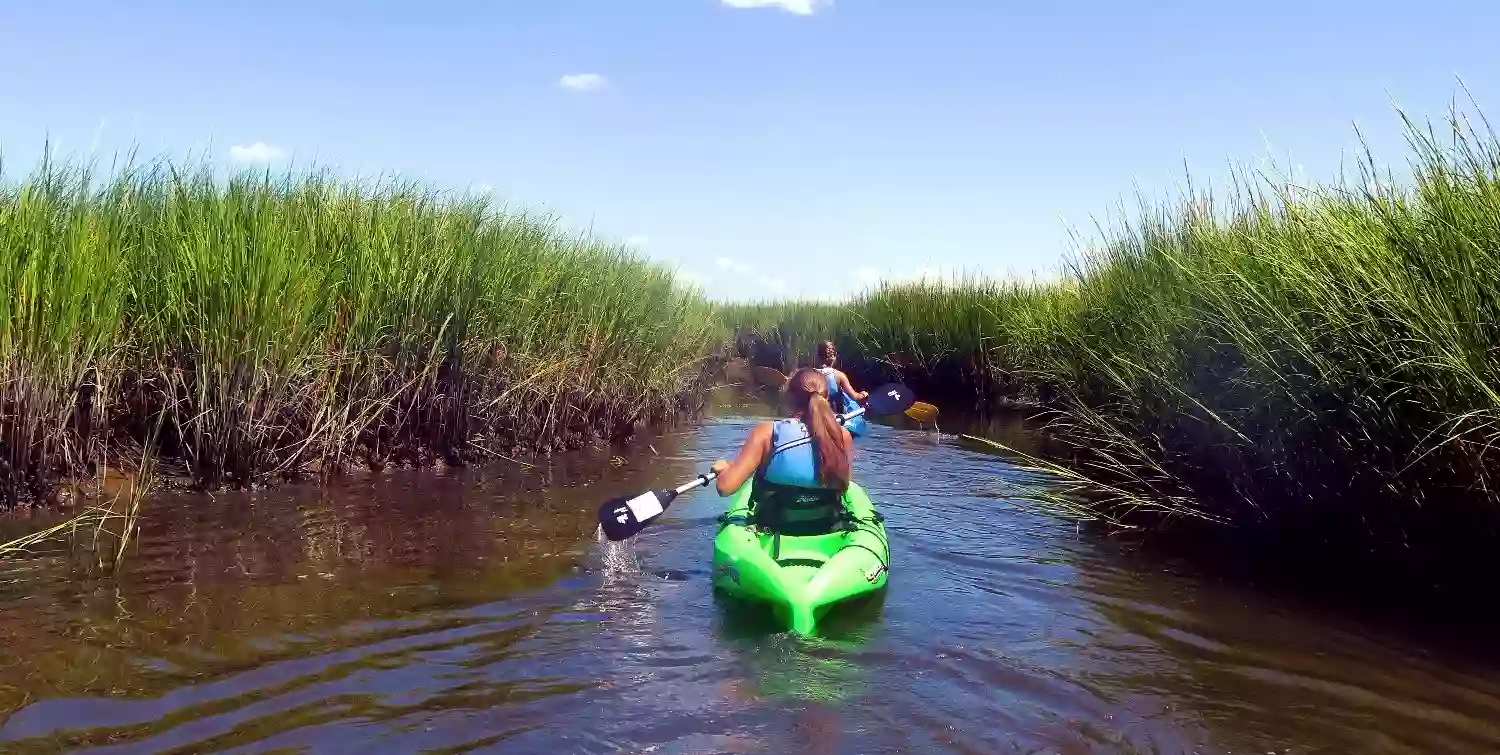 Baycats - Ocean City, NJ - Kayaks, Paddle Boards & Catamarans