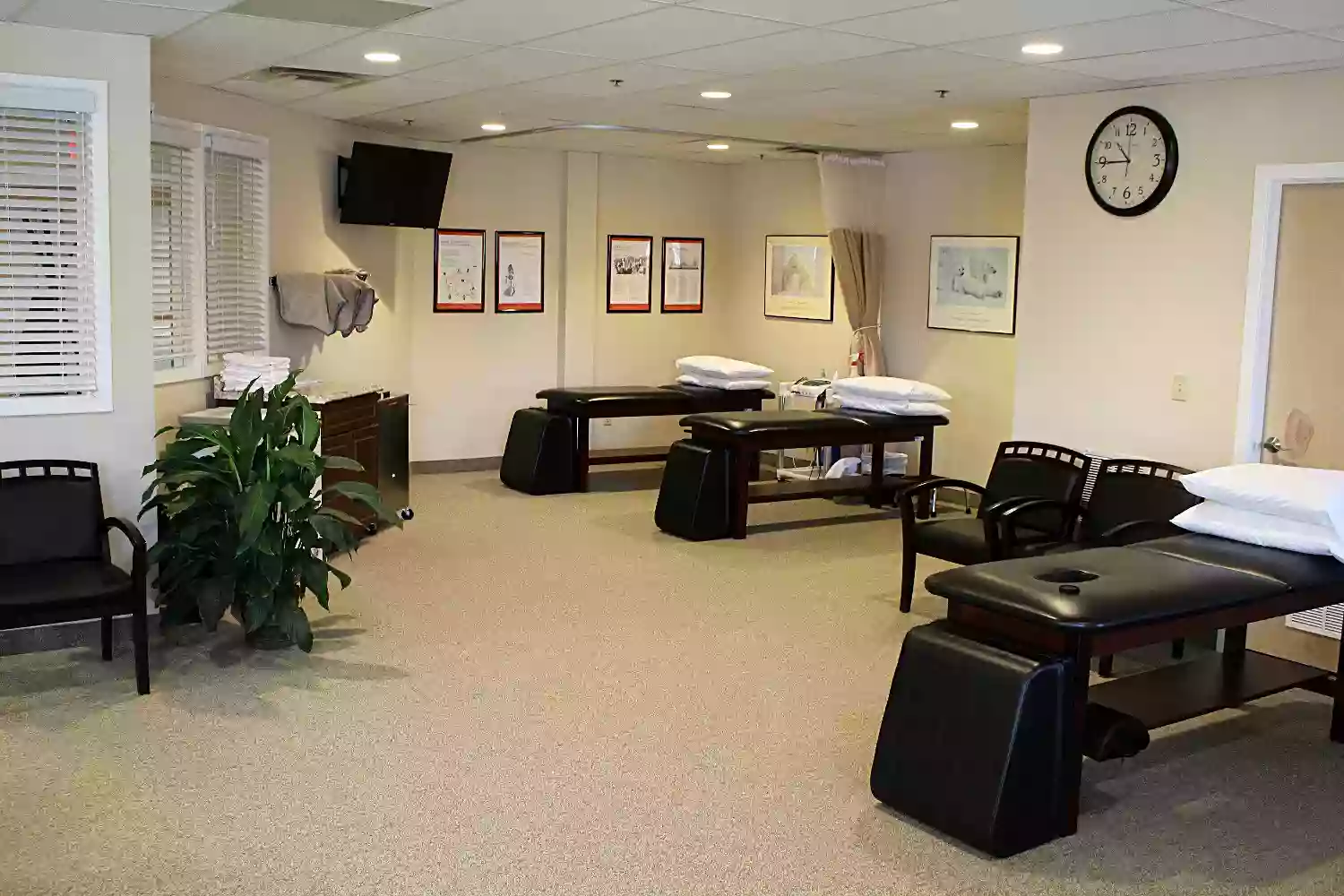 Carroll Physical Therapy