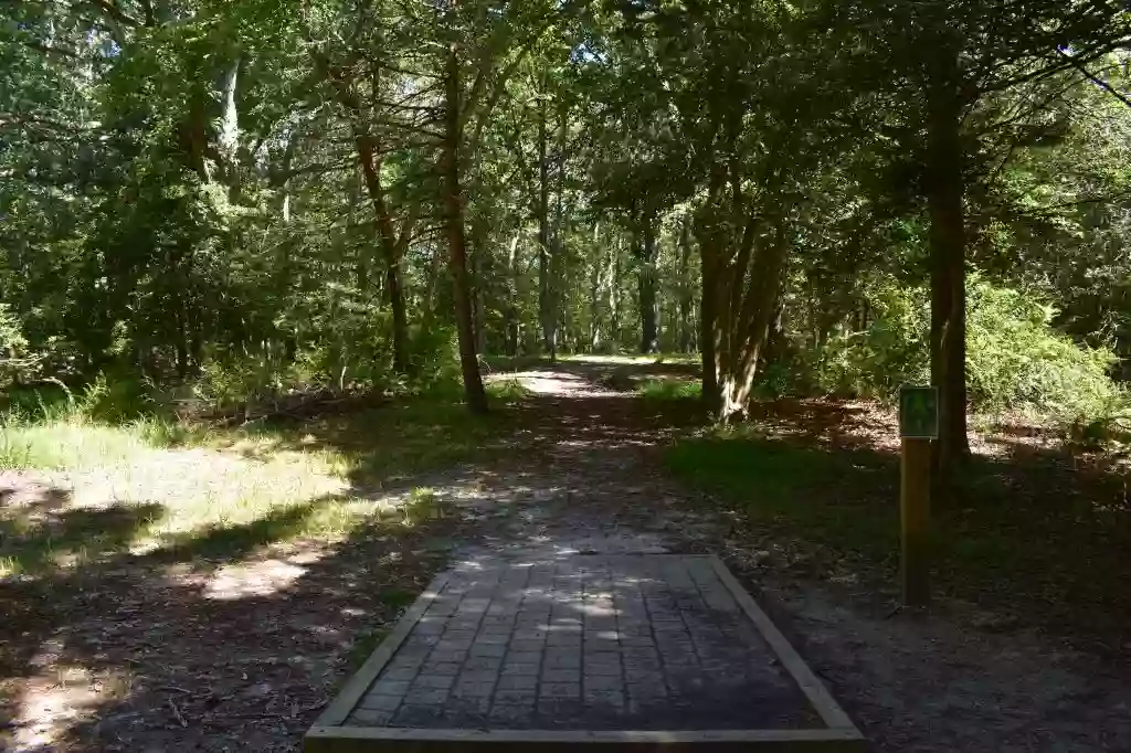 Allaire State Park Disc Golf Course