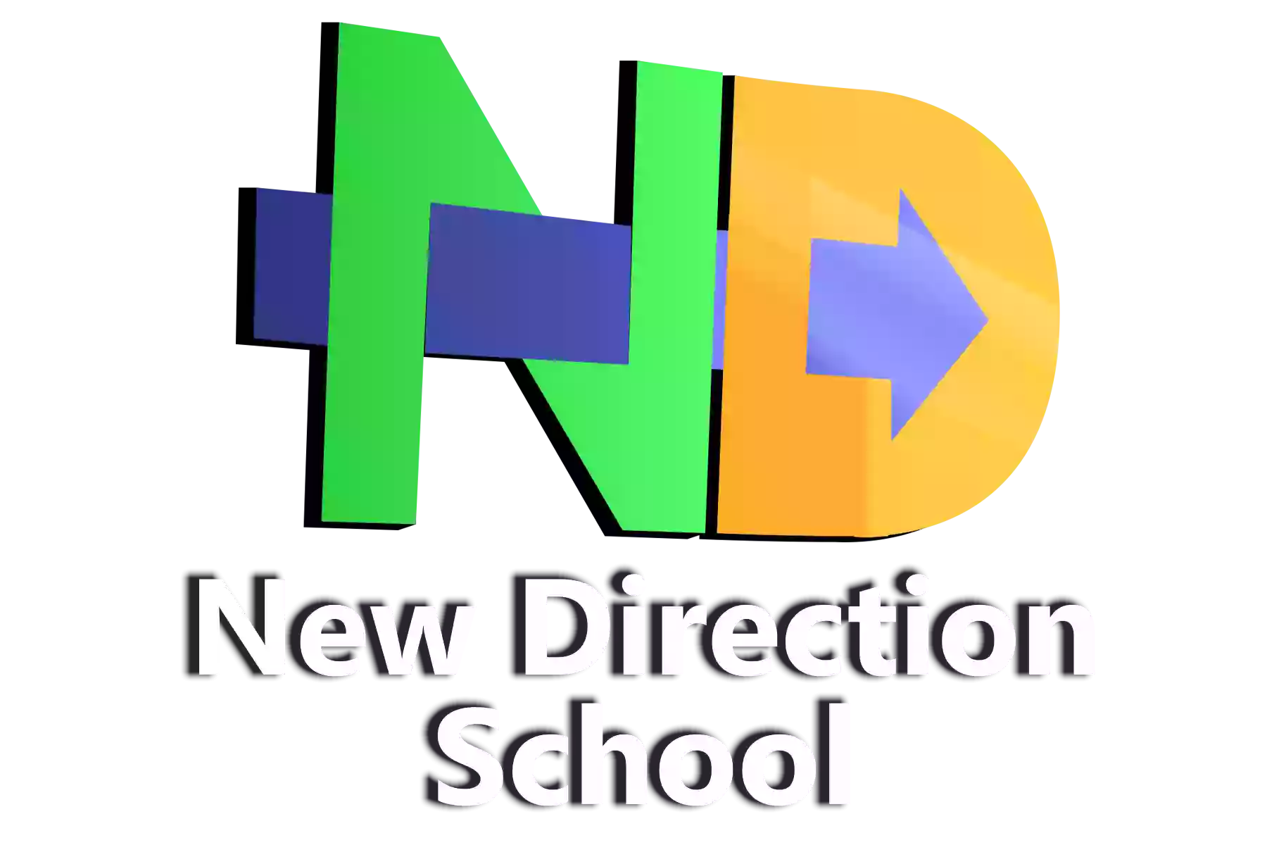 New Direction School