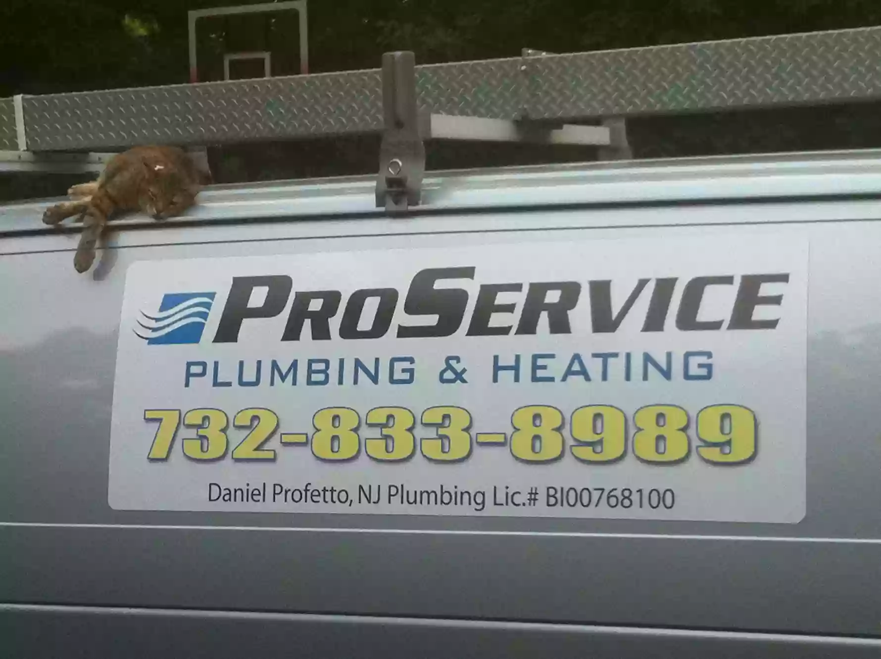 ProService Plumbing & Heating