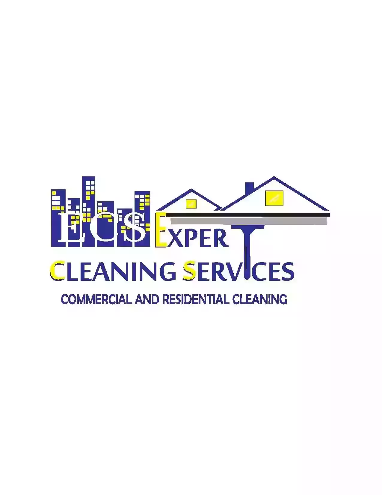 Expert Cleaning Services