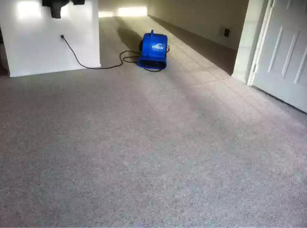 Pure Carpet Care