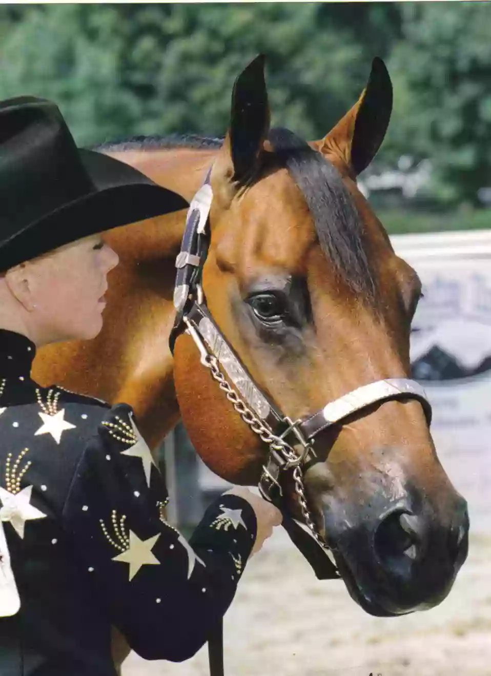 KFK Performance Horses at Aislinn Farm