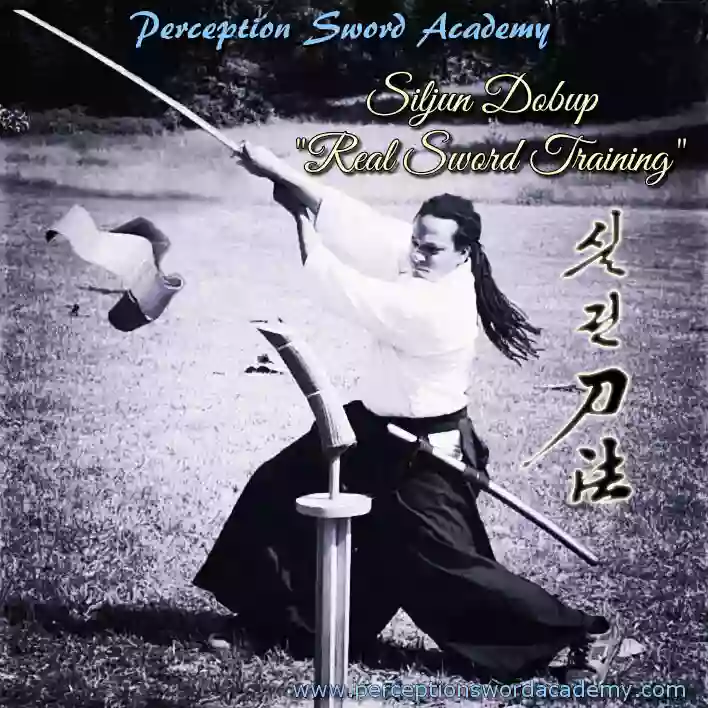 Perception Sword Academy