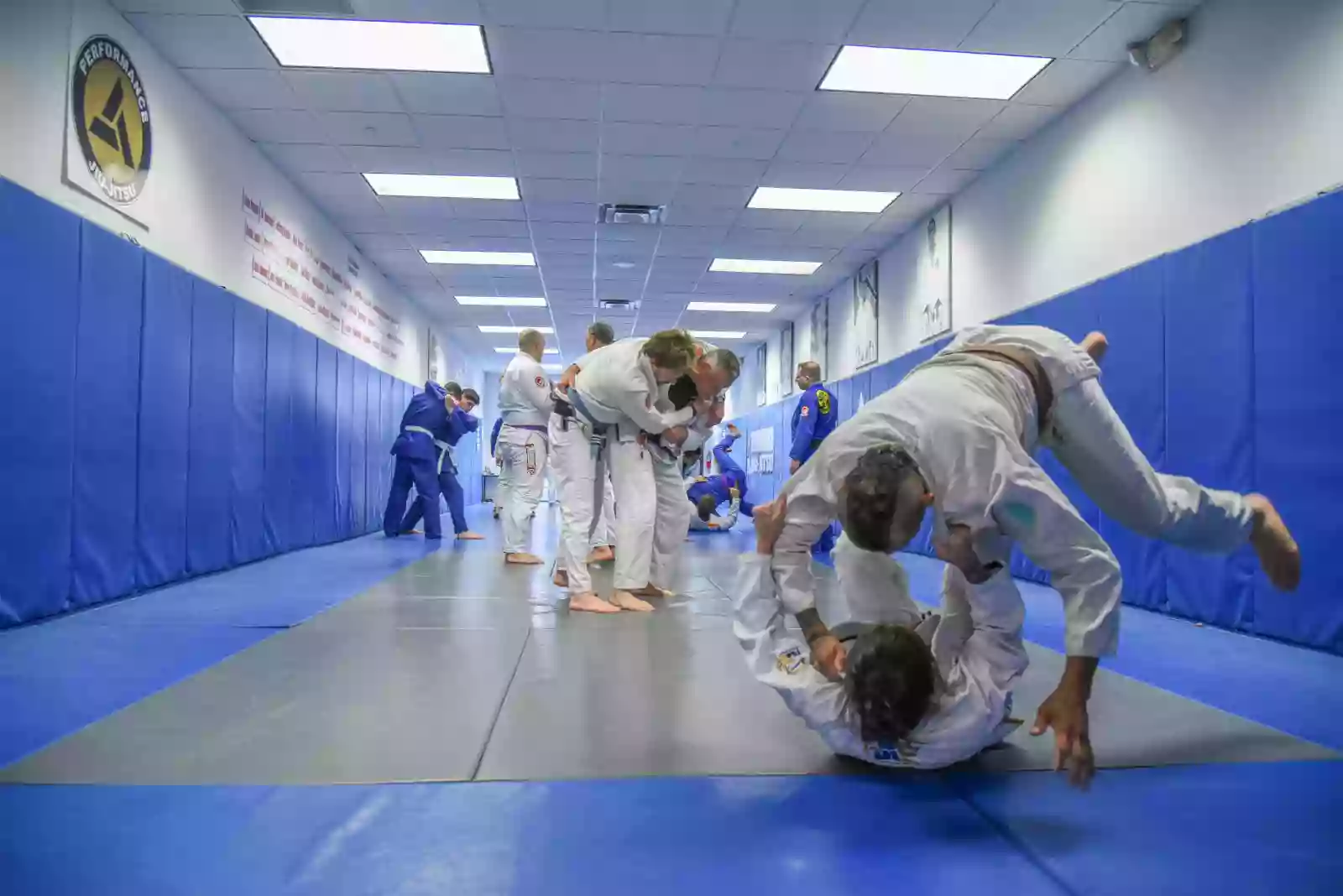 Performance Jiu-Jitsu & Self Defense Academy