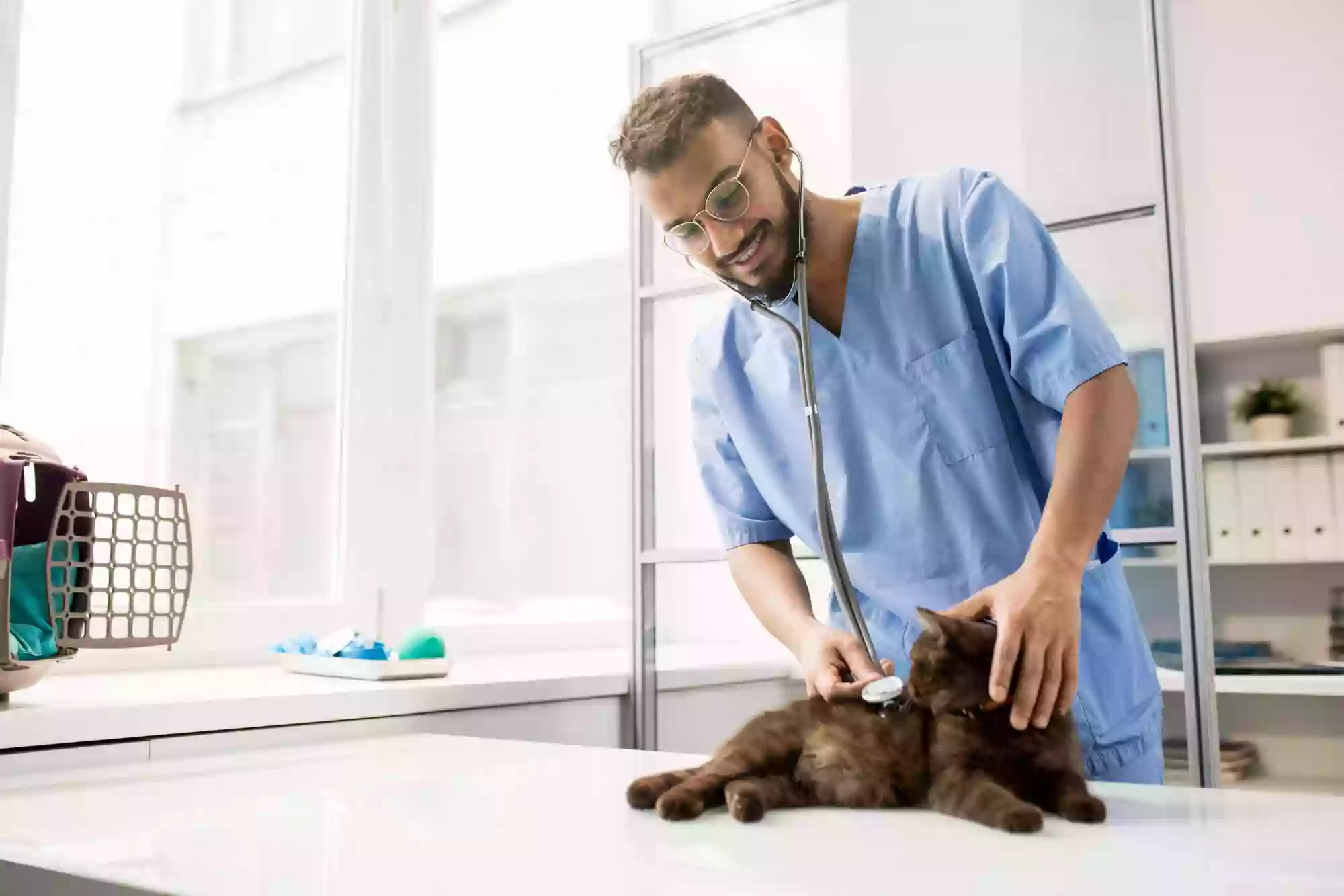 Beach Buddies Animal Hospital