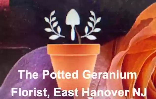 The Potted Geranium Florist