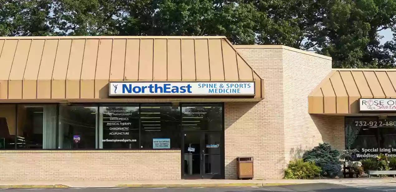 NorthEast Spine and Sports Medicine: Chiropractor & Physical Therapy