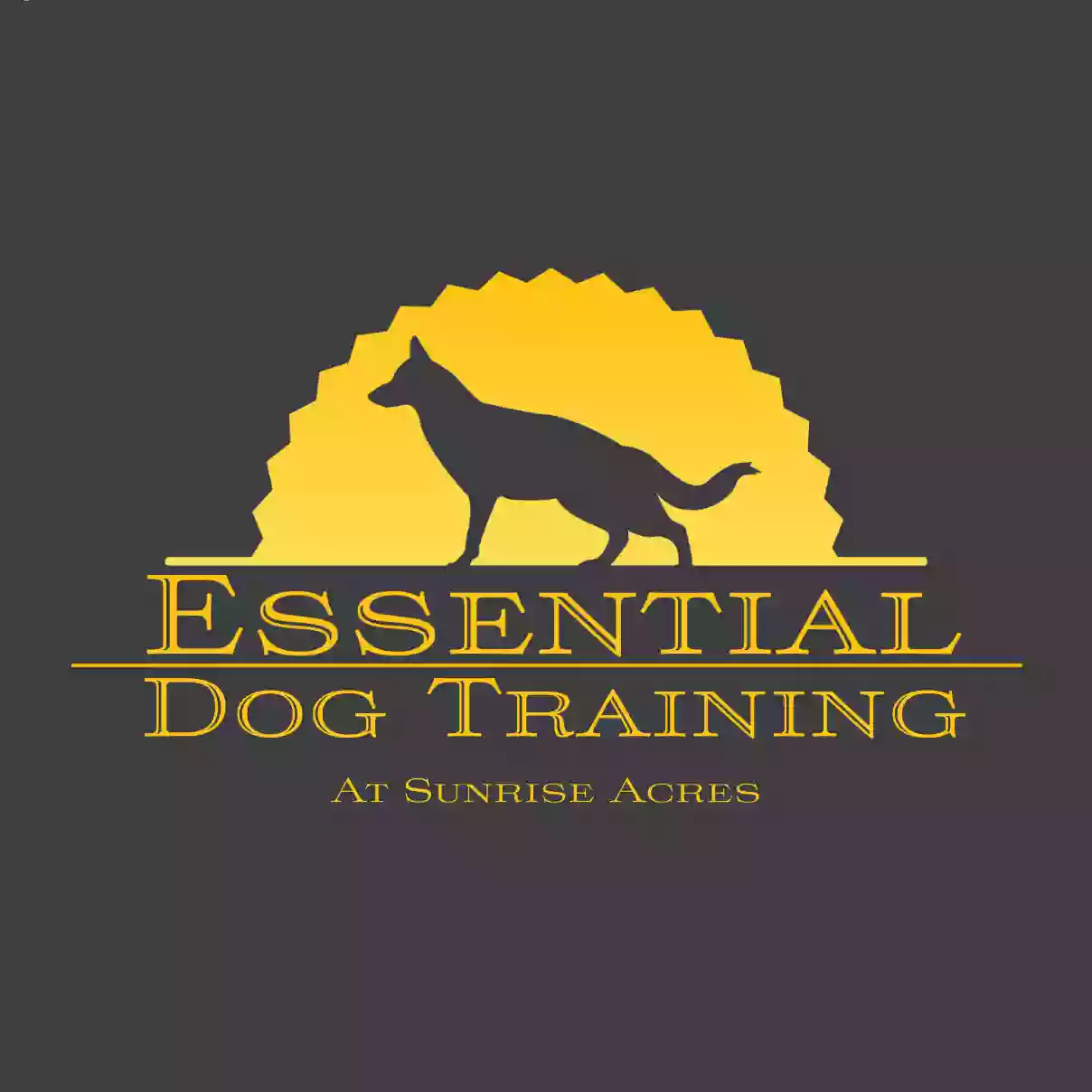 Essential Dog Training