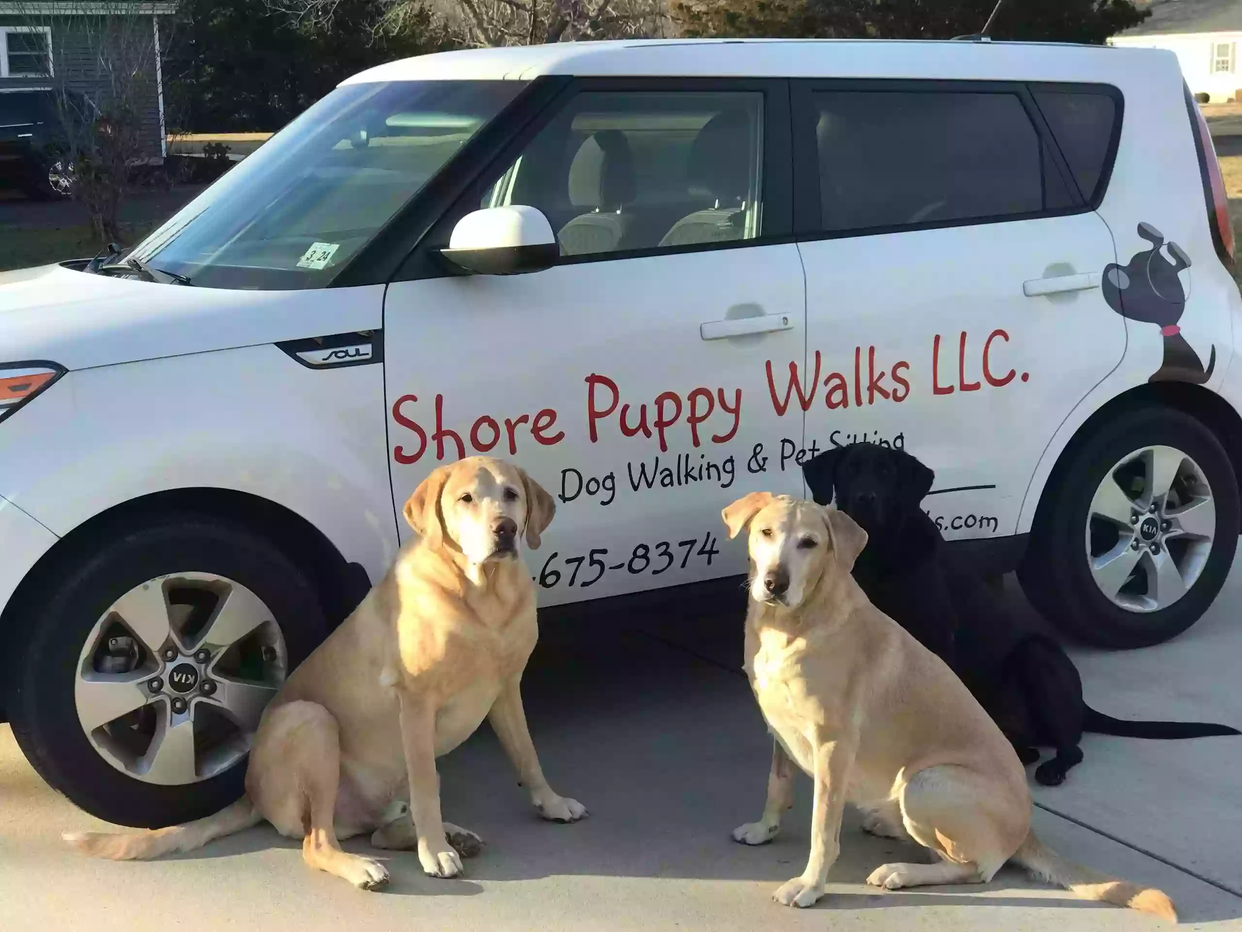 Shore Puppy Walks