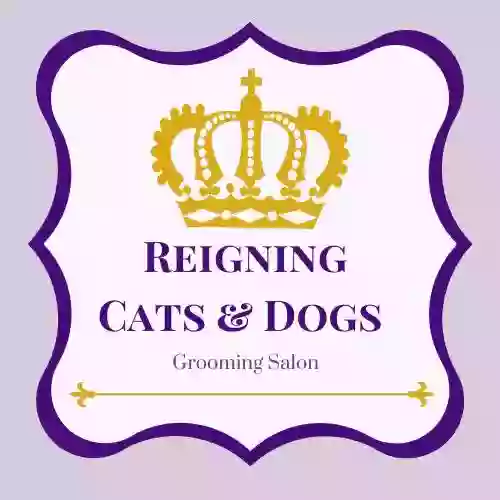 Reigning Cats & Dogs