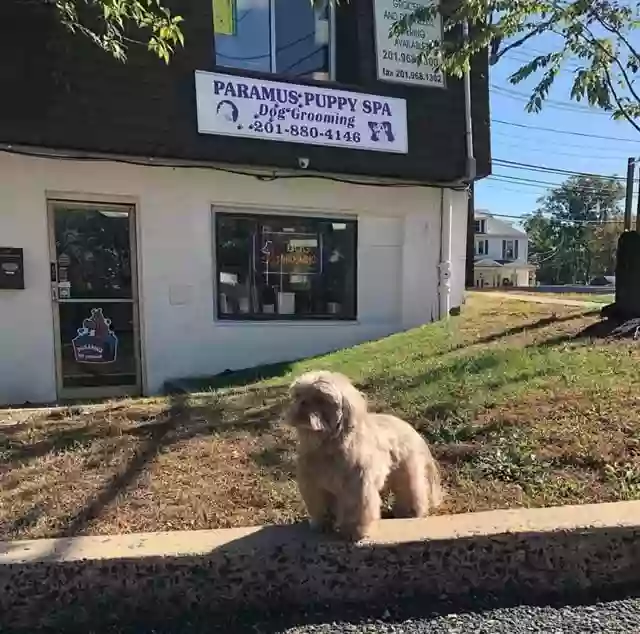 Paramus Puppy Spa