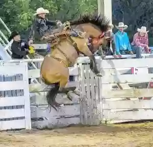 Cowtown Rodeo