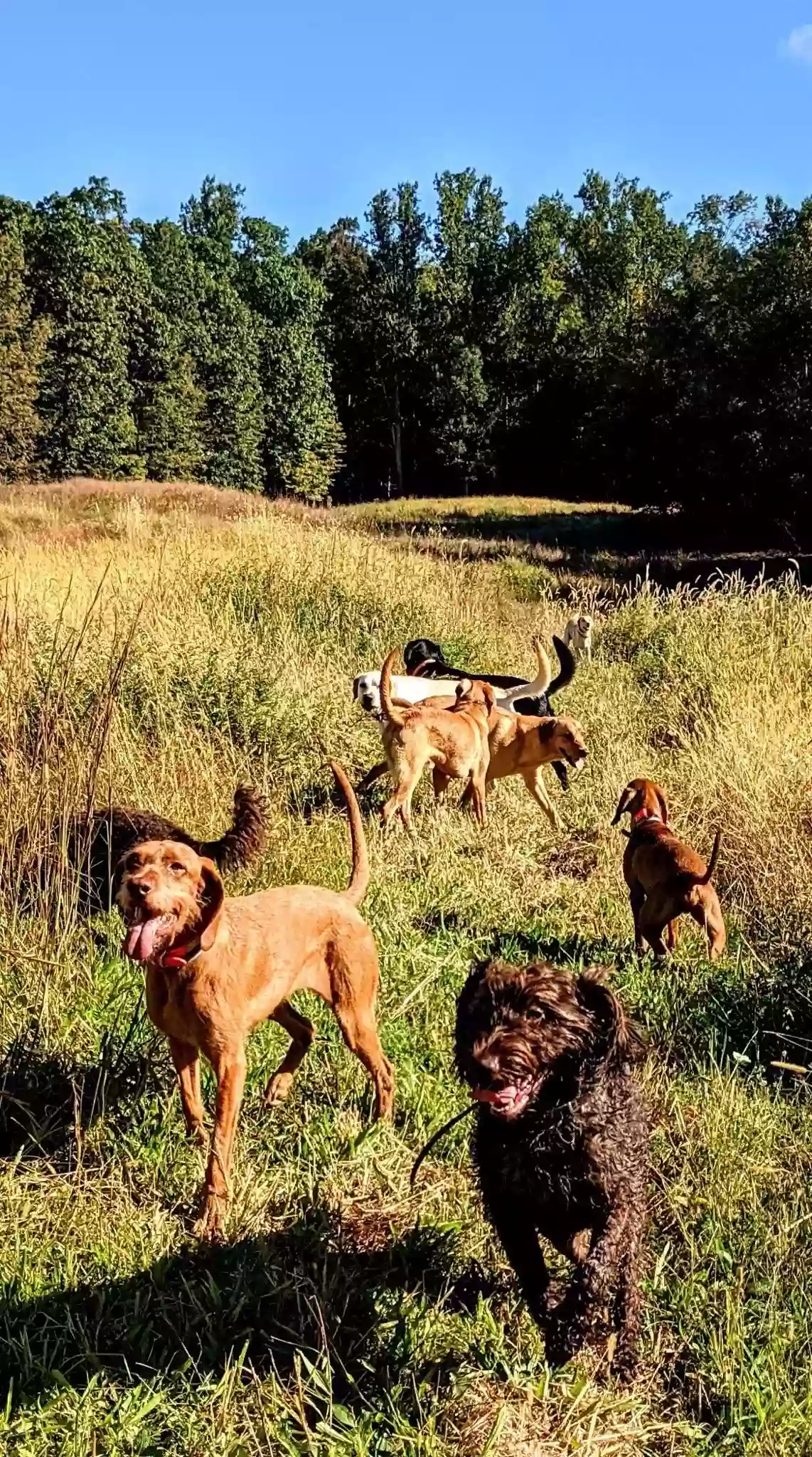 Soggy Bottom Game Preserve