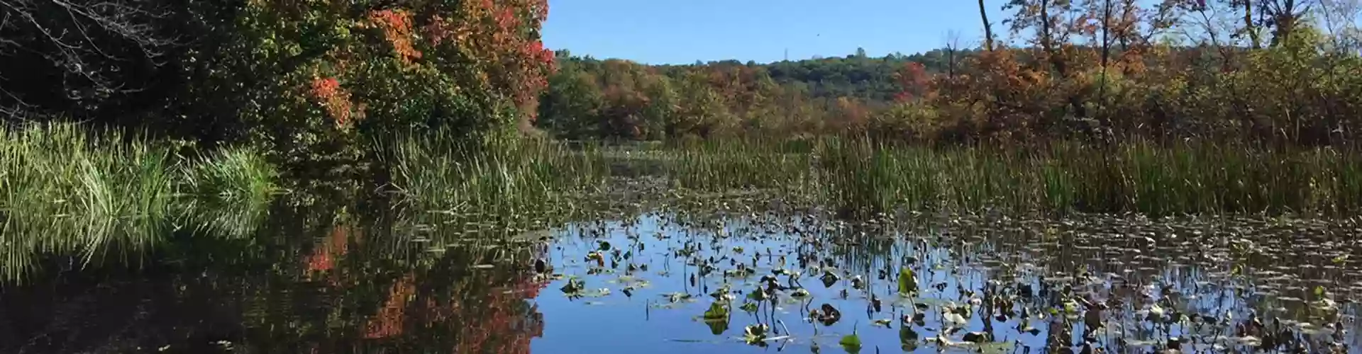 Fox Hill Nature Preserve