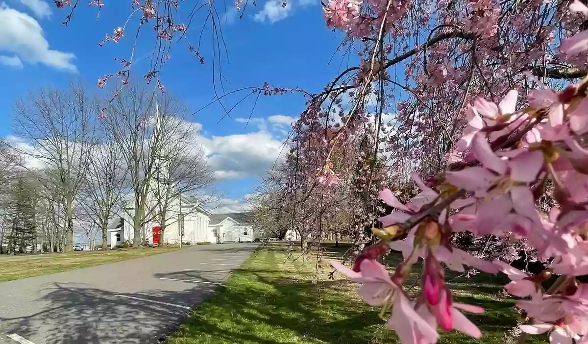 Three Bridges Reformed Church