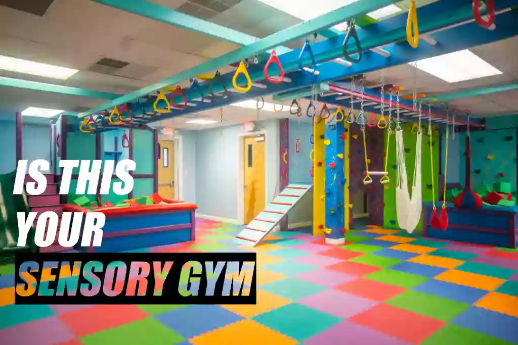 Fun Factory Sensory Gym Production Facility