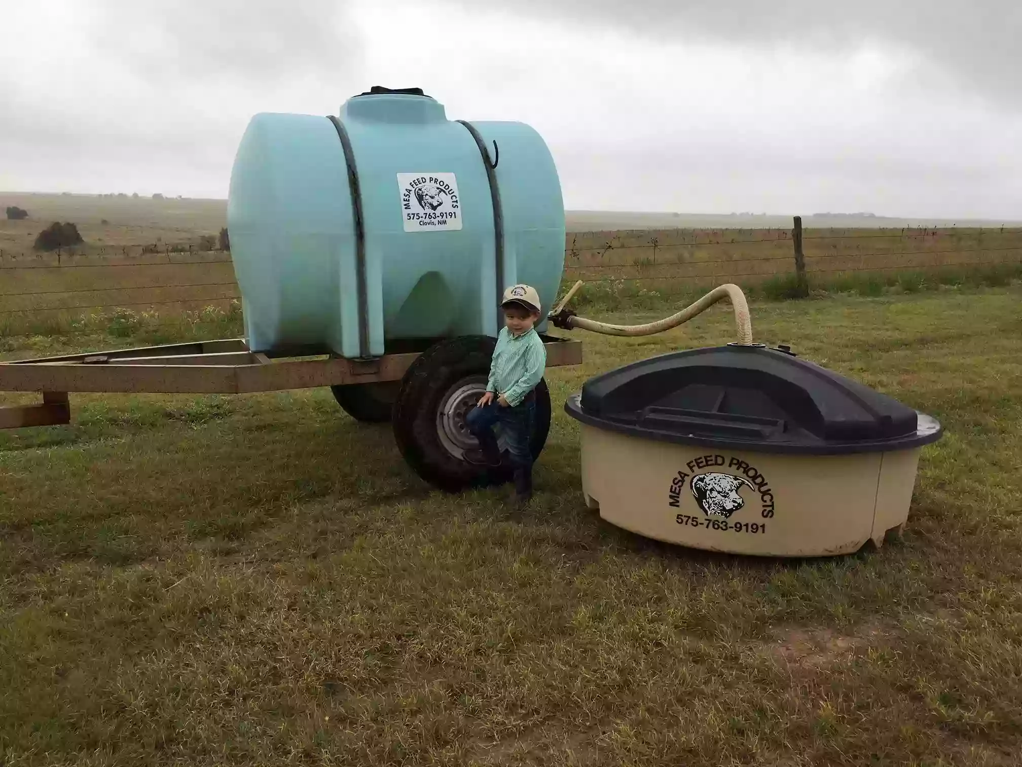 Mesa Feed Co