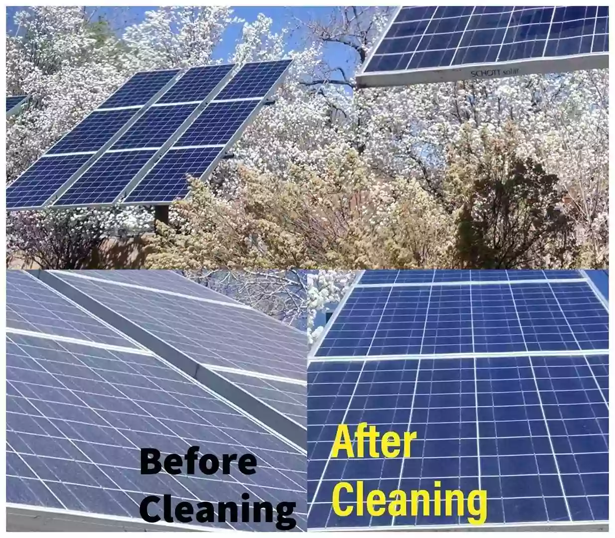 Dragon Service Window and Solar Cleaning