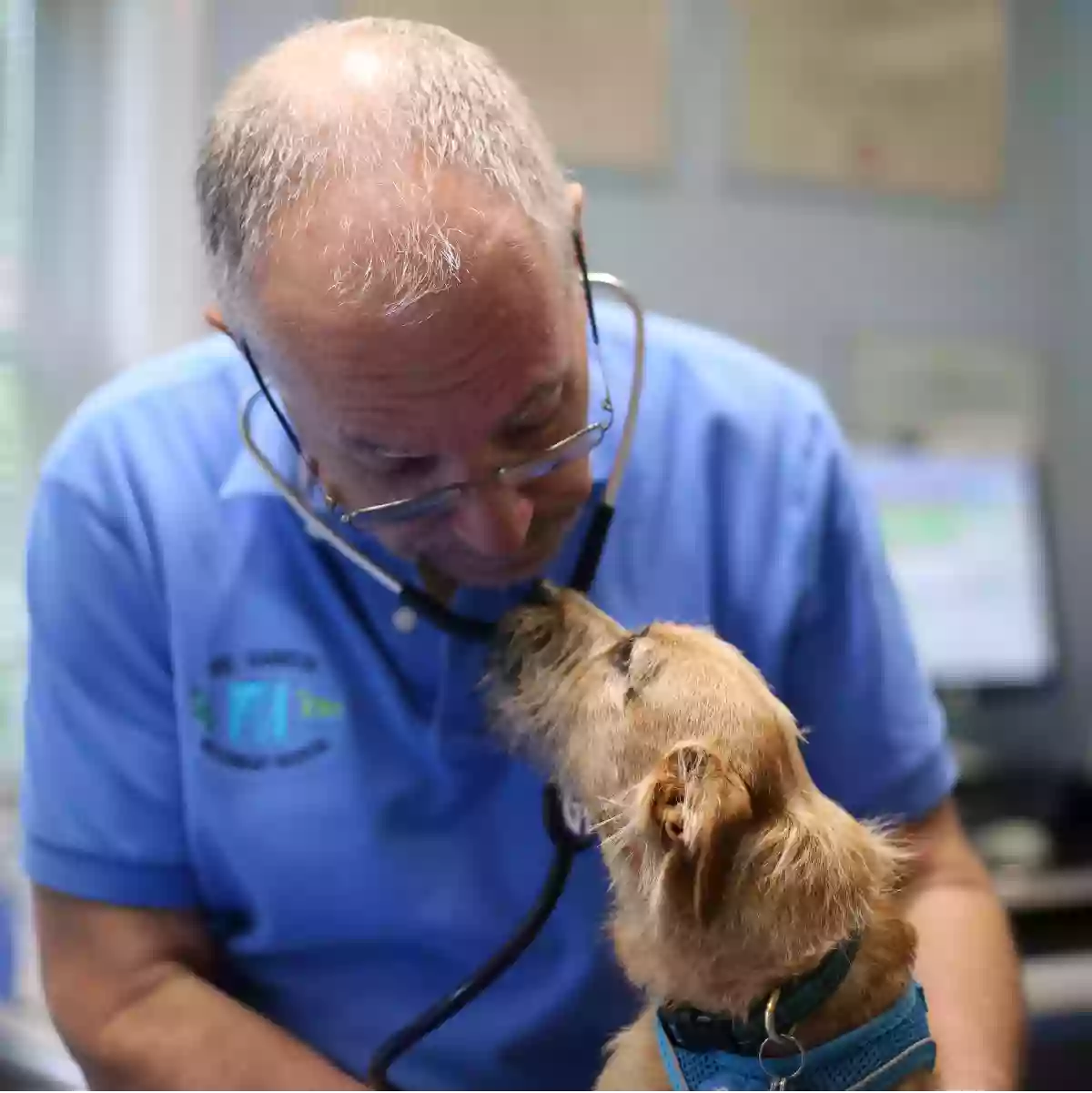 Rye Harrison Veterinary Hospital