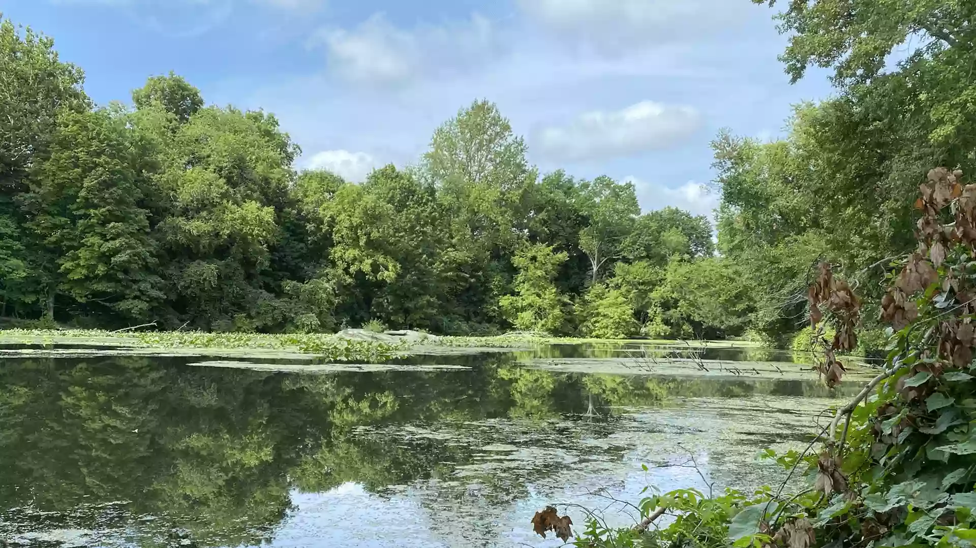 Sheldrake Environmental Center