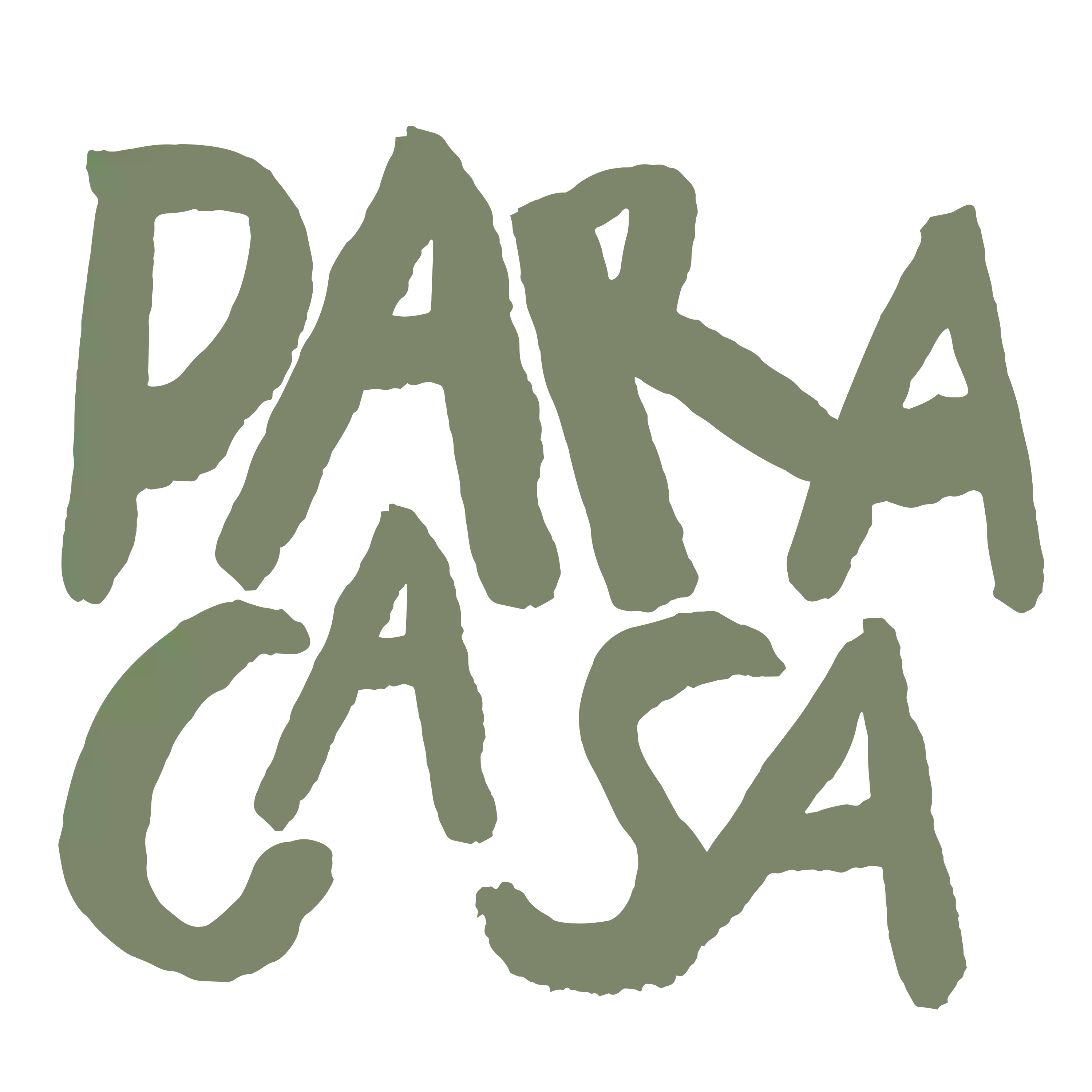 Paracasa