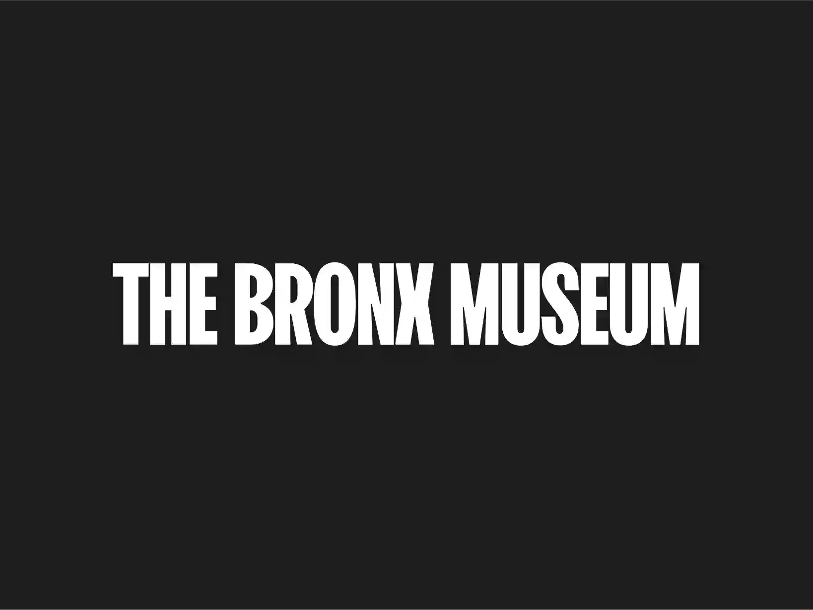 The Bronx Museum of the Arts