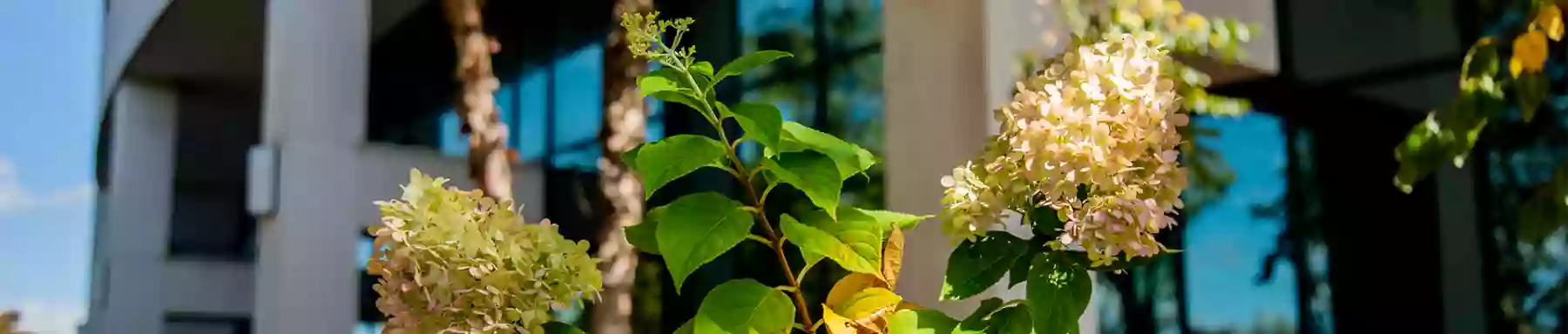 The Breast Center at Greenwich Medical Center