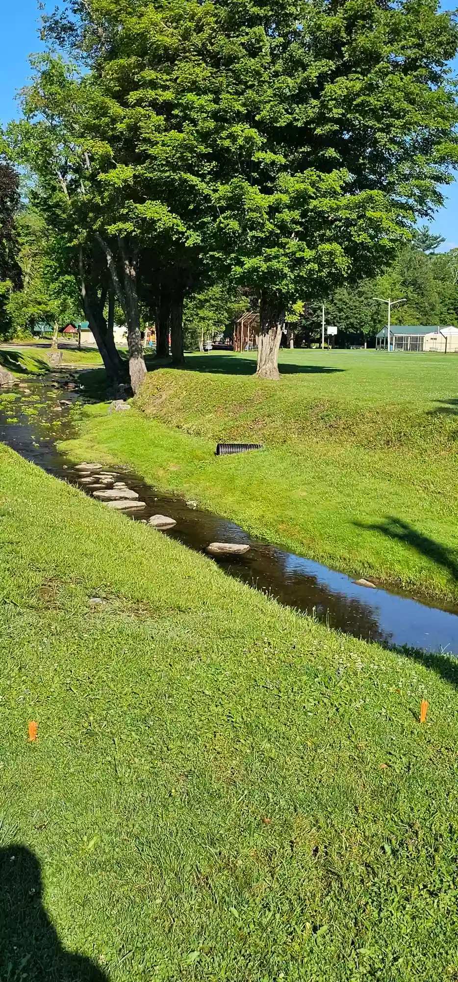 Falconer Park Disc Golf Course