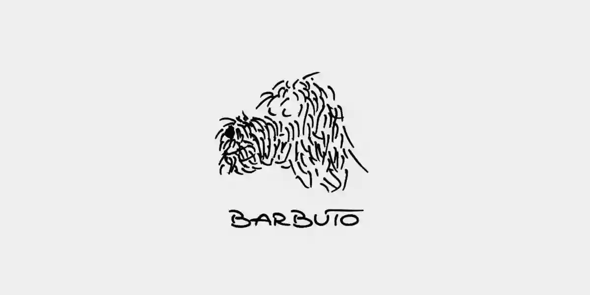 Barbuto