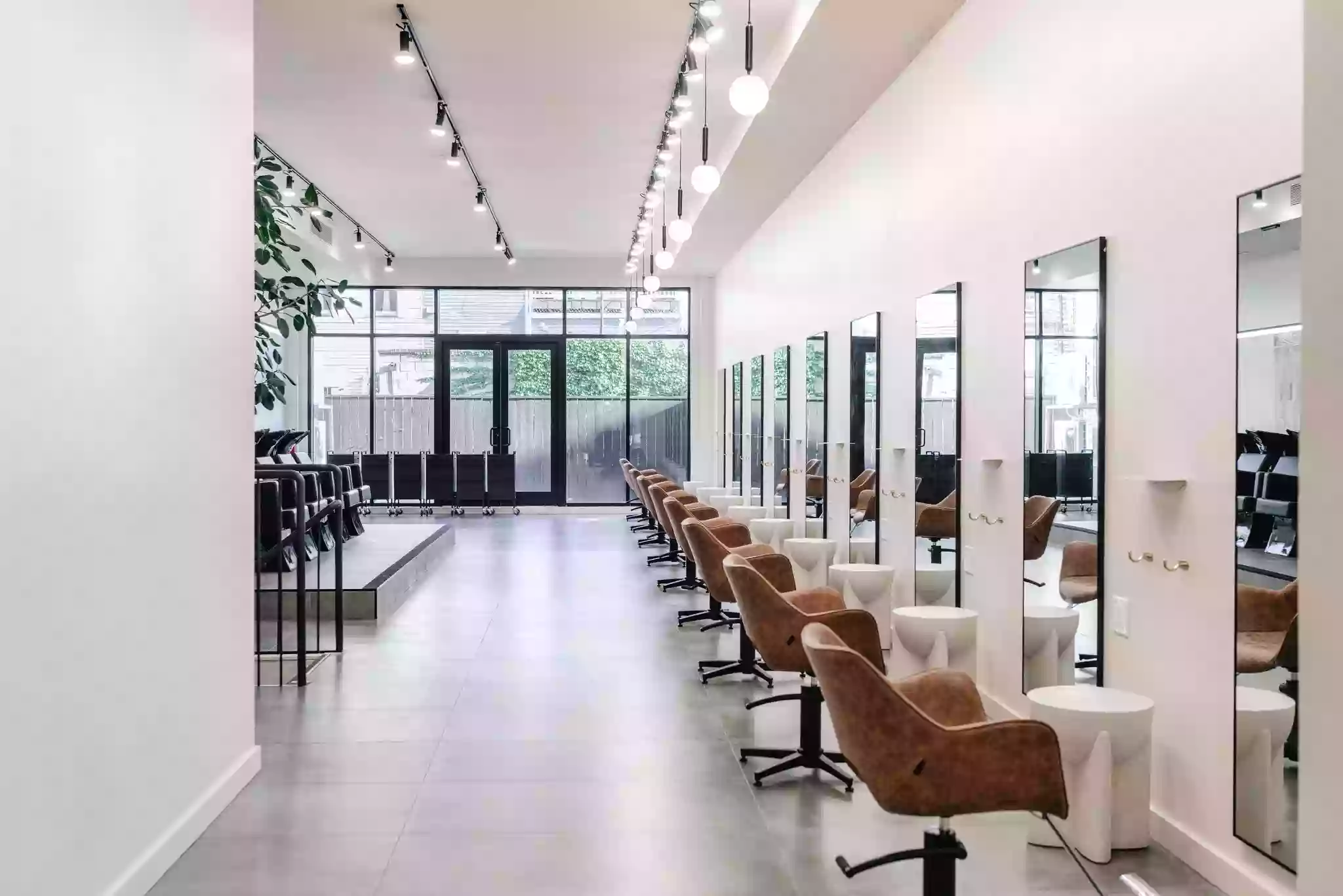 Little Lion Salon