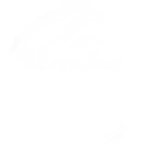 Barber Shop NYC