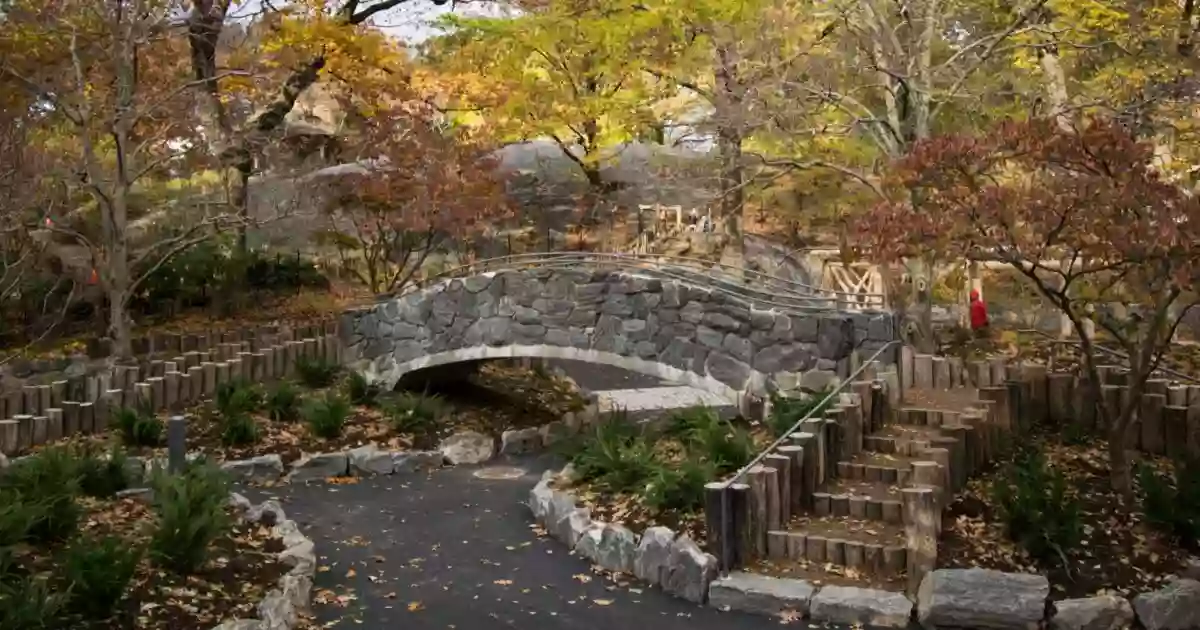 Billy Johnson Playground