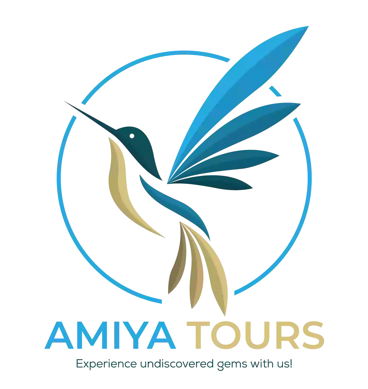 Amiya Tours Inc.